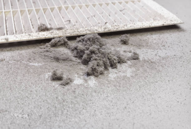 Best Commercial Air Duct Cleaning  in Winfield, TN