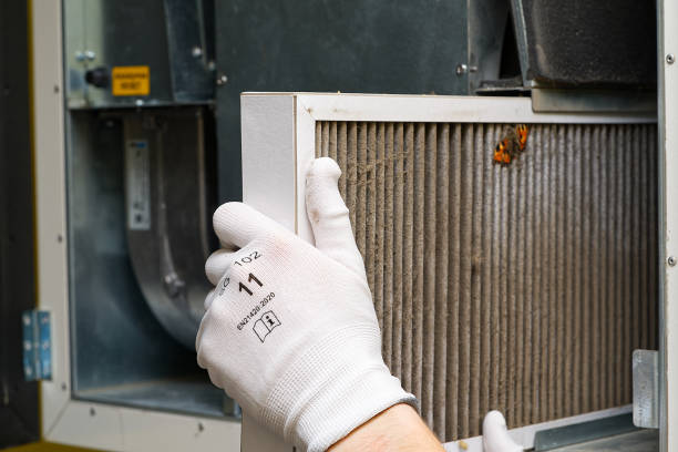 Best Local Air Duct Cleaning Services  in Winfield, TN